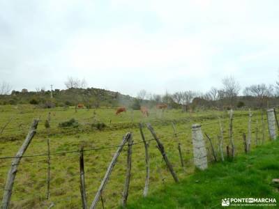 Alcornocal Dehesa Vieja-Atalaya Arrebatacapas;afluentes del rio tajo alpes julianos viajes a la niev